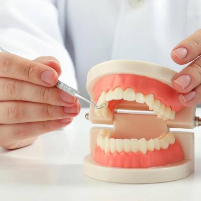 Первинне обстеження Ali’s Premium Dental Care, Первинне обстеження стоматологічна клініка, стоматологічна клініка Івано-Франківськ